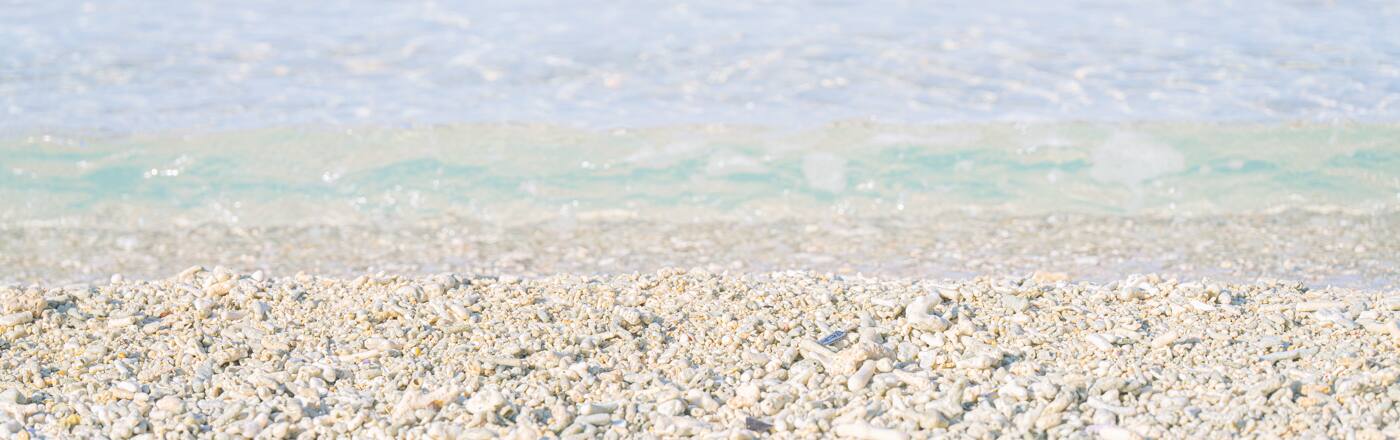 初心者・ブランクの方へ